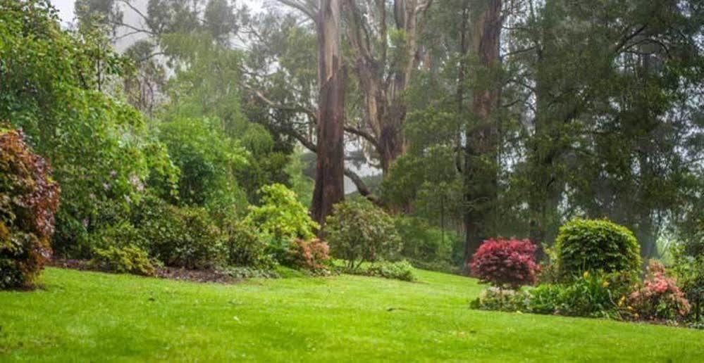 Beechmont Garden Retreat Guest House Olinda Exterior photo