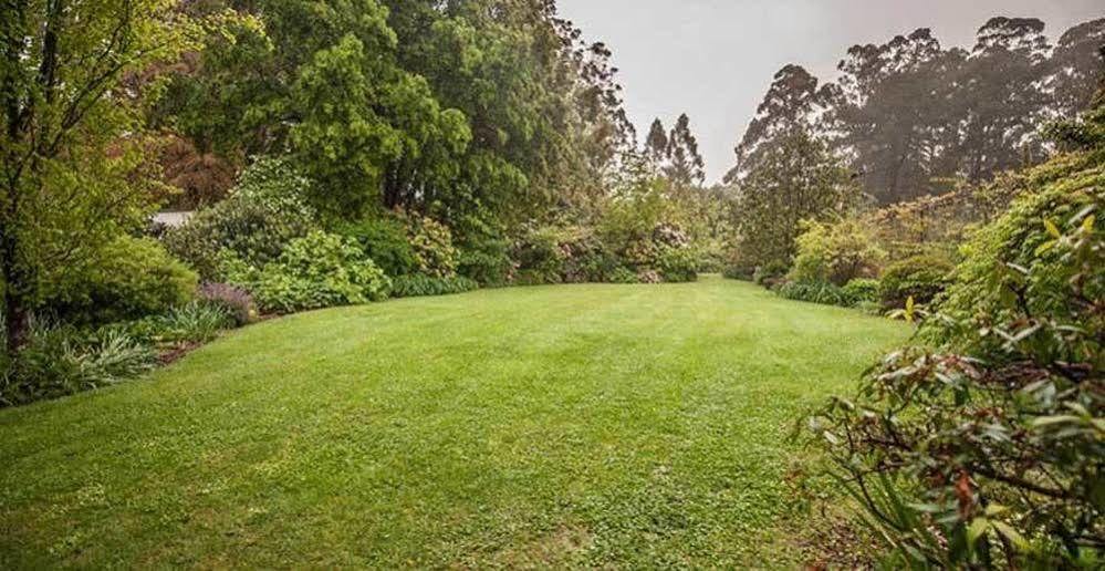 Beechmont Garden Retreat Guest House Olinda Exterior photo