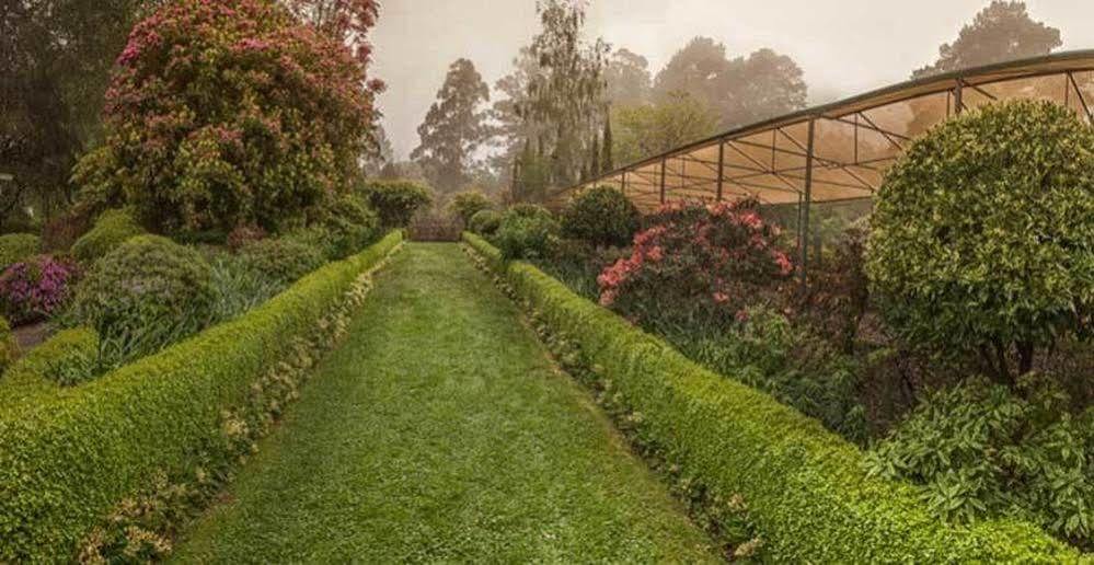 Beechmont Garden Retreat Guest House Olinda Exterior photo