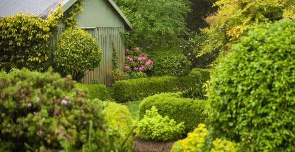 Beechmont Garden Retreat Guest House Olinda Exterior photo